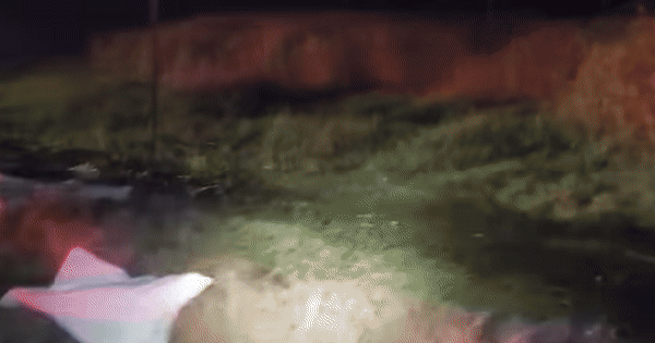 Ngồi uống rượu ở đường ray, 3 người đàn ông bị tàu hỏa đâm tử vong: Nhân chứng kể lại chi tiết ám ảnh avatar1739855916353 17398559166491658004242 0 33 378 638 crop 17398559302601629757574gifpng