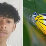 Tiêm chất lạ vào cơ thể theo “thử thách trên mạng”, thiếu niên 14 tuổi tử vong sau 7 ngày avatar1739975466537 17399754673861751070721 0 16 382 627 crop 17399754904131638373069jpg