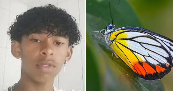 Tiêm chất lạ vào cơ thể theo “thử thách trên mạng”, thiếu niên 14 tuổi tử vong sau 7 ngày avatar1739975466537 17399754673861751070721 0 16 382 627 crop 17399754904131638373069jpg