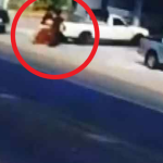 Chồng bắn vợ rồi tự sát trên xe bán tải khiến nhiều người bàng hoàng avatar1740125902876 17401259031841777299408 0 32 315 536 crop 1740125916802357154945png