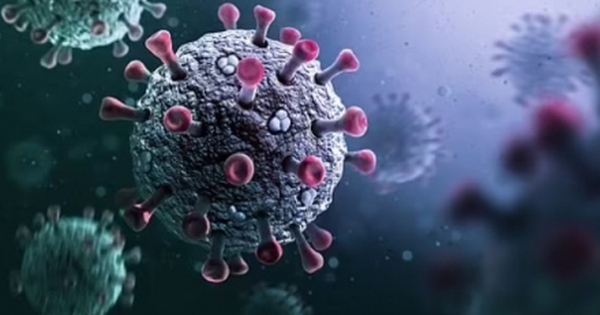 Các nhà khoa học khuyến cáo không thổi phồng nguy cơ từ virus mới giống Covid-19 avatar1740222187411 17402221877701464250183 0 0 275 440 crop 1740222214519230807517jpg