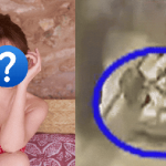 Clip sao nữ bị biến thái tấn công ngã nhào trên mặt đất khiến dư luận phẫn nộ avatar1740321913823 1740321914613637279970 0 0 419 800 crop 1740322066971525226618gifpng