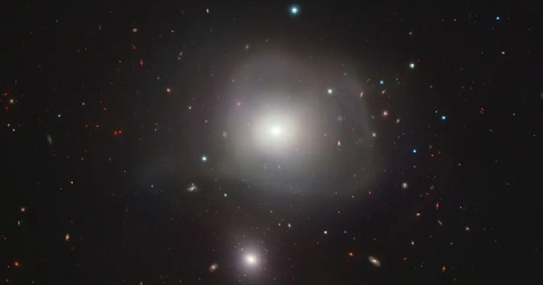 Lộ diện “T-rex vũ trụ” cách Trái Đất 88 triệu năm ánh sáng avatar1740452481073 17404524813071159274159jpg 1