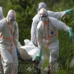 Báo động bệnh lạ giết chết hơn 50 người tại CHDC Congo avatar1740457017061 17404570172841165714696 46 0 462 665 crop 1740457050996635493194jpg