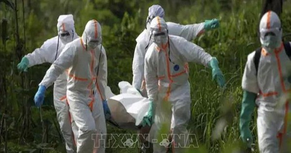 Báo động bệnh lạ giết chết hơn 50 người tại CHDC Congo avatar1740457017061 17404570172841165714696 46 0 462 665 crop 1740457050996635493194jpg