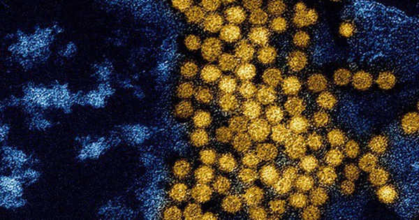 AI lần theo dấu vết hàng nghìn tỷ virus bí ẩn trong cơ thể người avatar1740488823693 174048882410564016856 0 61 315 565 crop 1740488847233206958850jpg