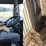 Cô gái bị nhốt làm nô lệ tình dục suốt 3 tháng: Nhân chứng kể về phút giây phát hiện nạn nhân avatar1740642656301 1740642656780167876078jpg