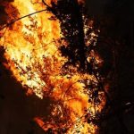 Nhật Bản: Hơn 80 ngôi nhà bị thiêu rụi, khoảng 2.000 người phải sơ tán do cháy rừng avatar1740656444453 17406564445441891563295jpg