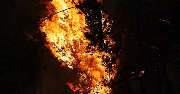 Nhật Bản: Hơn 80 ngôi nhà bị thiêu rụi, khoảng 2.000 người phải sơ tán do cháy rừng avatar1740656444453 17406564445441891563295jpg