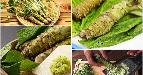 Lọai củ "xấu ma chê quỷ hờn" giá gần 6 triệu đồng/kg, "đỏng đảnh" khó trồng avatar1740703871651 1740703871950740989187jpg