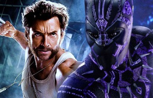 Những khác biệt giữa Adamantium và Vibranium, hai kim loại cứng nhất của MCU avatar1740712313083 17407123136231438014153jpg