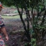 Bé trai 19 tháng tuổi mất tích được phát hiện tử vong gần bờ sông, hiện trường ám ảnh avatar1740735319060 1740735319380991664010 0 28 315 532 crop 17407353271141185213790jpg