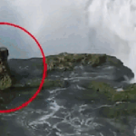 Video sốc: Chụp ảnh check in, thanh niên 20 tuổi bất ngờ bị sóng "nuốt gọn" ngay trước mắt bạn bè avatar1740735604332 1740735604582706685980 342 0 584 388 crop 17407356195401305931133gifpng