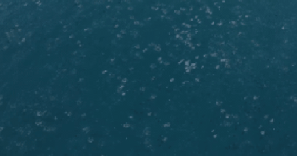 Video ghi lại cảnh tượng gây sốc giữa đại dương: Ban đầu cứ ngỡ chỉ là sóng, nhưng đến khi lại gần mọi thứ hoàn toàn thay đổi avatar1740805501968 1740805502490815131108 0 51 315 555 crop 17408057039701182345926png