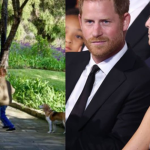 Chuyên gia hoàng gia nhận xét về nước cờ kỳ lạ của vợ chồng Harry - Meghan với 2 con Archie và Lilibet avatar1740915640982 17409156412321562900972 0 65 315 569 crop 1740915664774646482938png