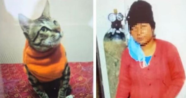 Người phụ nữ 32 tuổi tự tử vì mèo cưng qua đời avatar1740988661557 1740988661882279532978 0 0 314 600 crop 17409887815701657873687jpg