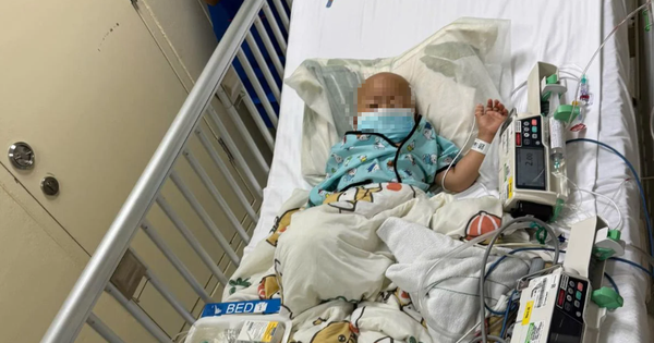 Tổ chức quyên góp Give.Asia chuyển tiền ủng hộ bé Bắp cho người khác avatar1741058926834 17410589271241860440865 82 0 679 955 crop 1741058955692930691734png