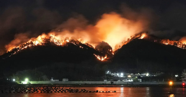 Đám cháy rừng tồi tệ nhất trong nửa thế kỷ ở Nhật Bản lan rộng avatar1741078088936 1741078089275933282558png