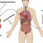 Tìm ra liệu pháp điều trị ung thư hiệu quả bằng vi khuẩn avatar1741137149750 17411371501031928868874jpg