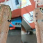 Đang ăn kem, người đàn ông sốc nặng khi nhìn thấy thứ đáng sợ avatar1741160090458 17411600906281911154297jpg