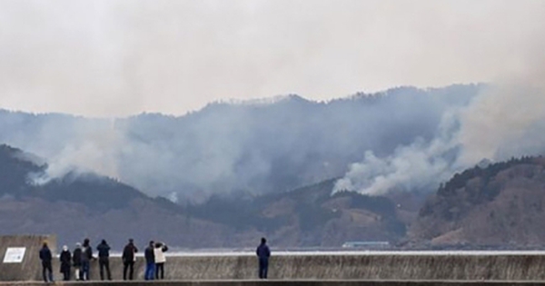 Cháy rừng đã thiêu rụi 9% thành phố Ofunato của Nhật Bản avatar1741163810339 1741163810831597941091 0 64 276 505 crop 17411638307311285359446jpg