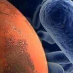 Nếu sự sống có thể tồn tại trong dạ dày của bạn thì nó có thể sẽ tồn tại trên Sao Hỏa? avatar1741164133758 17411641340921181927952 0 51 315 555 crop 17411641465571385475542jpg