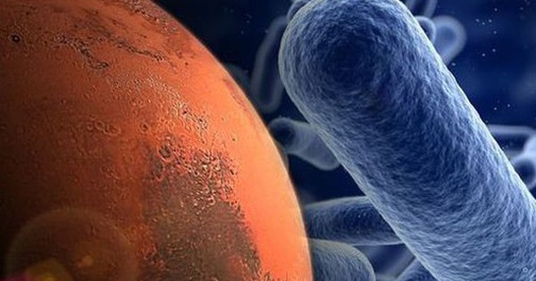 Nếu sự sống có thể tồn tại trong dạ dày của bạn thì nó có thể sẽ tồn tại trên Sao Hỏa? avatar1741164133758 17411641340921181927952 0 51 315 555 crop 17411641465571385475542jpg