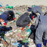 Người phụ nữ vứt nhầm 459 triệu đồng tiền mặt ra bãi rác chung cư avatar1741230219275 1741230219416506226612 0 0 314 600 crop 17412304281641560600369png