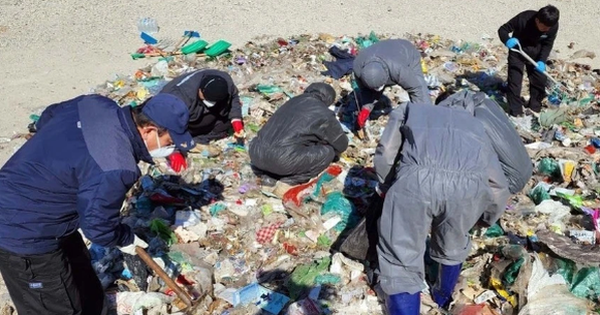 Người phụ nữ vứt nhầm 459 triệu đồng tiền mặt ra bãi rác chung cư avatar1741230219275 1741230219416506226612 0 0 314 600 crop 17412304281641560600369png