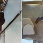 Nam thanh niên nuốt hoa tai kim cương gần 20 tỷ đồng vào bụng avatar1741257606083 1741257606419234610492 0 50 315 554 crop 17412576291841750578954png