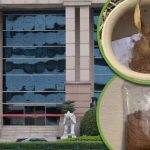 Chuyện thật như đùa: Rao bán đất lấy từ bên ngoài ngân hàng với giá hơn 3 triệu đồng/túi, cam kết tỷ lệ mang lại tiền tài, may mắn tới 999,999% avatar1741335786767 1741335786953766235785jpg