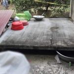 Bức tường bất ngờ đổ sập, đè 2 bà cháu tử vong avatar1741338776736 17413387769681717216314 0 53 315 557 crop 17413387942041126466006jpg