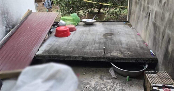 Bức tường bất ngờ đổ sập, đè 2 bà cháu tử vong avatar1741338776736 17413387769681717216314 0 53 315 557 crop 17413387942041126466006jpg