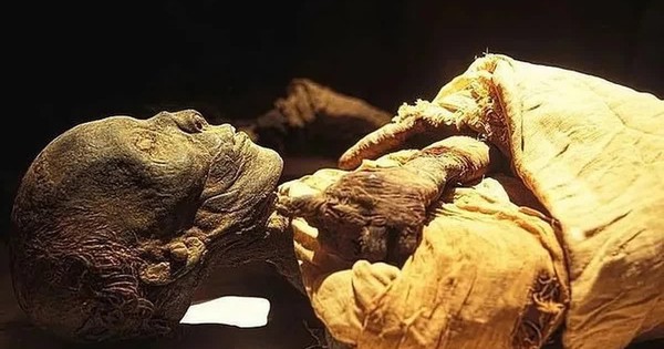 Phát hiện chấn động về lăng mộ Ai Cập trong hơn 100 năm qua avatar1741396407969 17413964083131102580797jpg