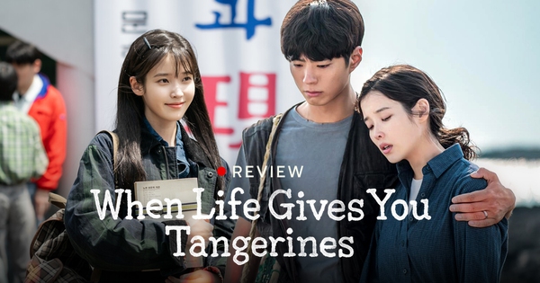 When Life Gives You Tangerines: Khi đời cho ta một quả quýt, hãy pha trà và cùng thưởng thức nó! avatar1741664445483 17416644462651331769067jpg