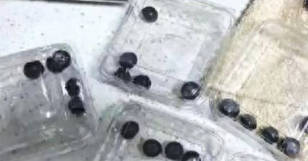 Khóc thét khi mua hàng qua livestream: Mở 8 hộp việt quất chỉ thấy 40 quả avatar1741827517678 17418275180461469614204 0 0 269 429 crop 17418275701562010941629jpg