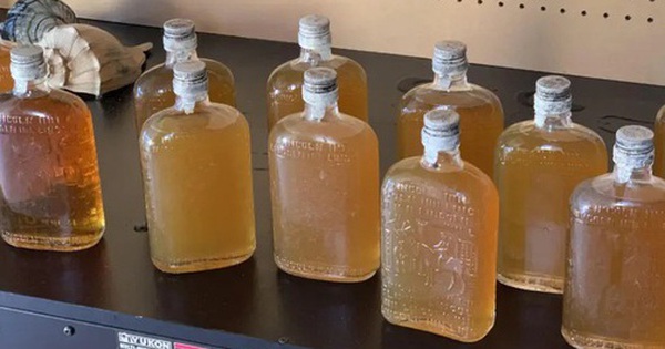 Dắt chó đi dạo, người đàn ông phát hiện "kho báu" trên bãi biển avatar1741857901091 17418579015012002720417 0 60 315 564 crop 17418579296031668655345jpg