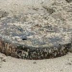 Phát hiện vật thể lạ trên biển ở Anh, đội gỡ bom được gọi đến và cái kết bất ngờ avatar1741948209607 17419482098471144021703 0 45 315 549 crop 17419482362152055033003jpg