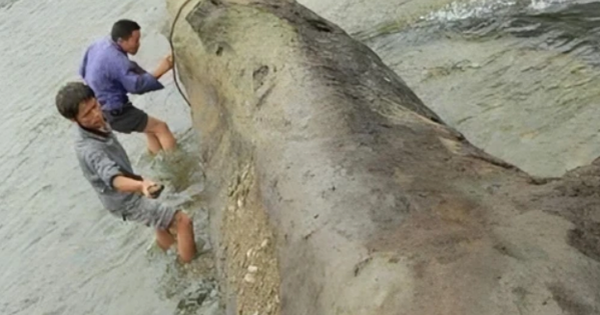 Người đàn ông đào trúng cây gỗ dài 13,8m, nặng 23,8 tấn: Cảnh sát lập tức phong tỏa hiện trường, chuyên gia khẳng định đó là “kho báu” hơn 3,5 tỷ đồng avatar1742028581903 1742028582295374262962 0 21 389 643 crop 1742028608000383397669png