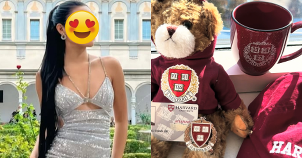1 Á hậu Vbiz bị soi điểm kỳ lạ khi khoe chuyện đậu Đại học Harvard, đoạn clip 17 giây bùng tranh cãi dữ dội avatar1742140172516 17421401728751794958841 0 0 251 480 crop 17421403378142142517051png