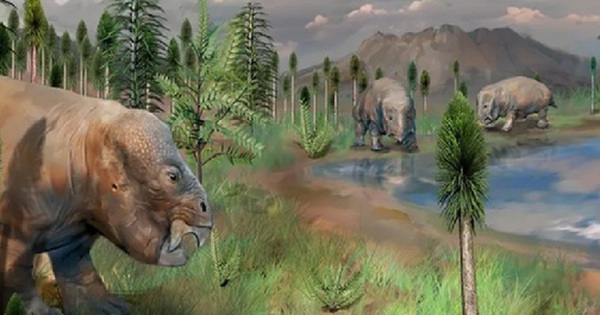 Phát hiện "thành trì chống tận thế" 250 triệu năm ở Trung Quốc avatar1742180652837 1742180653292710262830 0 24 315 528 crop 17421806882501579235087jpg