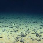 Phát hiện ‘kho báu’ lớn chưa từng thấy trải dài ngoài đại dương, tiềm năng cung cấp 45.000 tấn nhiên liệu 1 năm: Châu Âu nắm trong tầm tay năng lượng sạch, liên tục tái tạo avatar1742204790292 1742204790556581201508 0 42 422 717 crop 17422048196061223392081jpg