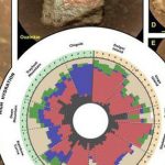 Bắn laser vào đá Sao Hỏa, tàu NASA tìm ra manh mối sự sống avatar1742205179532 1742205179772947796956 0 36 315 540 crop 17422051955771501038989jpg