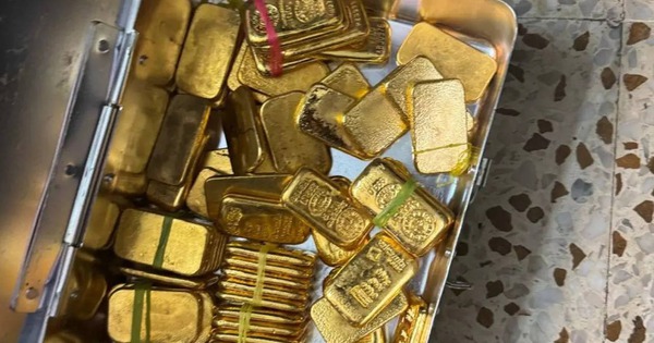 Tịch thu 95,5 kg vàng của một cặp cha con avatar1742284640986 17422846412032003177428jpg