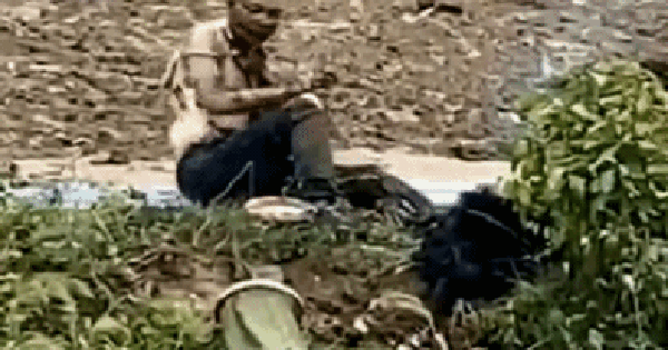 Đi câu cá, vừa vung cần người đàn ông đã hét lớn rồi ngã quỵ, người dân chạy tới chứng kiến cảnh ám ảnh avatar1742389350944 1742389351676109066242 42 0 289 396 crop 17423893683252000455337gifpng