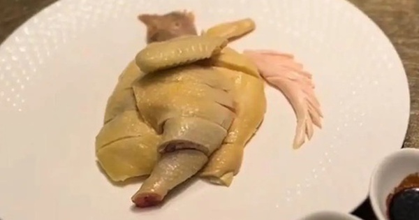 Chi gần 2 triệu đồng để ăn nửa con gà, vị khách “bất ngờ ngã ngửa” khi được nghe giải thích: Gà này không phải gà thường! avatar1742446485989 17424464862212063531429 0 24 315 528 crop 17424465024191271793038jpg