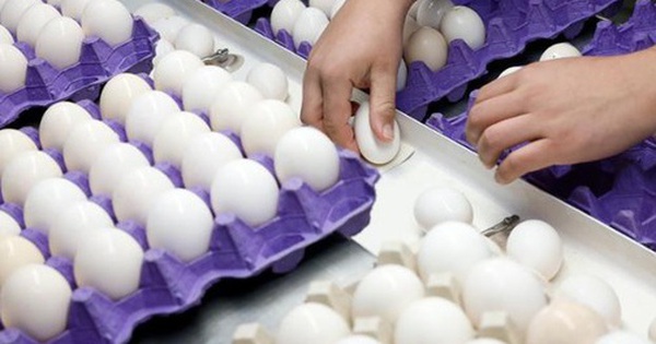 Không phải fentanyl, biên phòng Mỹ đang tập trung truy quét buôn lậu... trứng avatar1742464151835 1742464152095510326343 0 39 315 543 crop 1742464165755609692020jpg