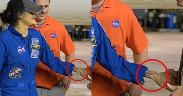 1 chi tiết trên cổ tay nữ phi hành gia NASA khi vừa trở lại trái đất khiến giới y khoa ngỡ ngàng: Điều gì đã xảy ra sau 9 tháng? avatar1742464529595 17424645298601387894191png