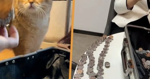 Phẫn nộ vì dịch vụ chung cư kém, cư dân trả phí quản lý bằng 6.000 đồng xu avatar1742654183290 17426541837591840983815 0 103 269 533 crop 1742654196195885771905jpeg