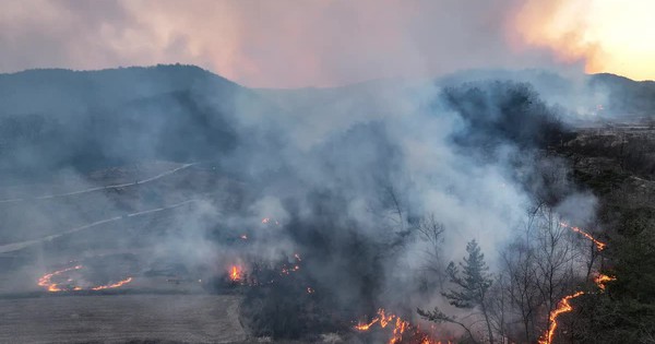 Cháy rừng khiến nhiều người thiệt mạng, Hàn Quốc ban bố tình trạng thảm họa quốc gia avatar1742730654453 17427306549711331376870jpg